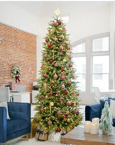 Brilliant Bordeaux Ornament Collection