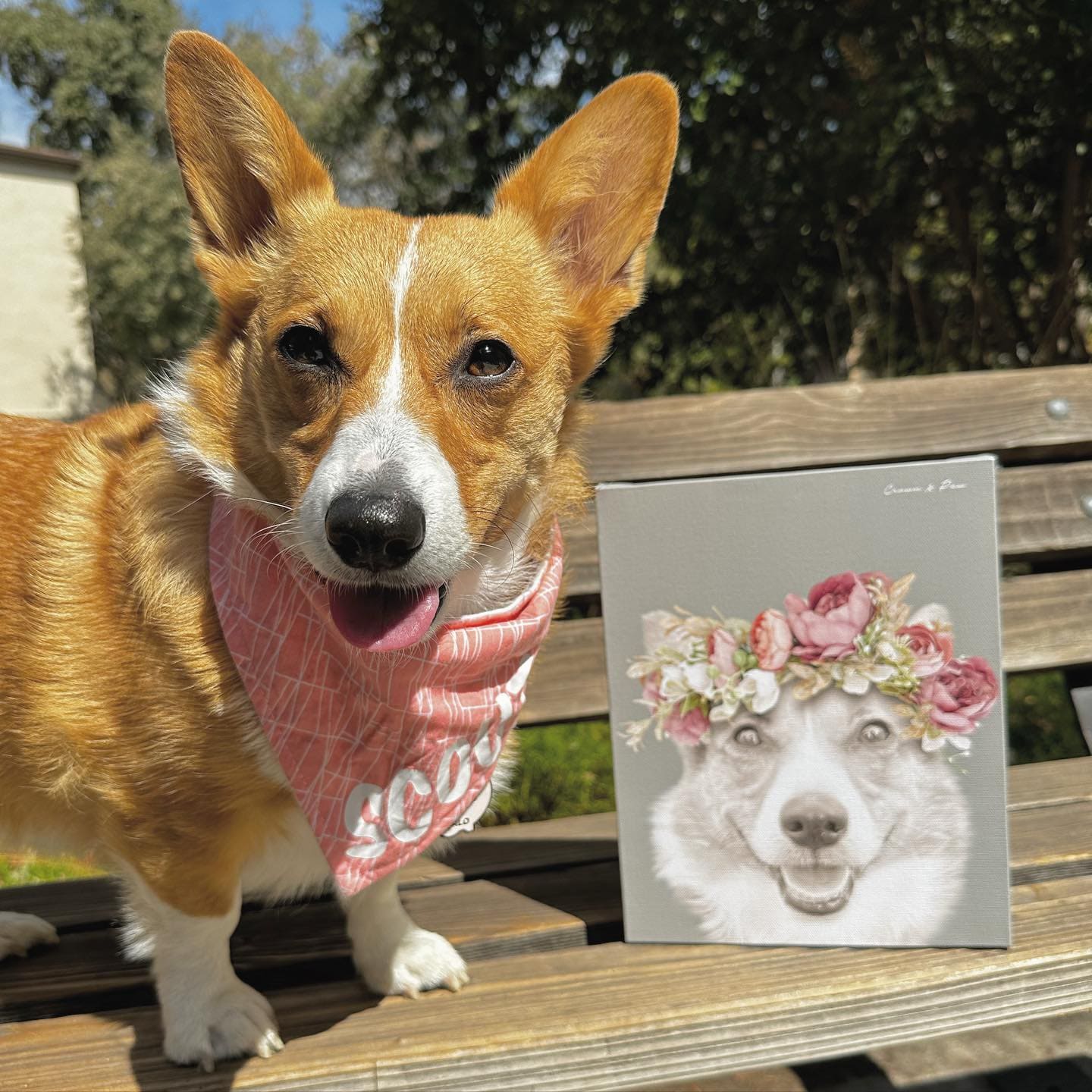 Floral Crown Pet Portrait