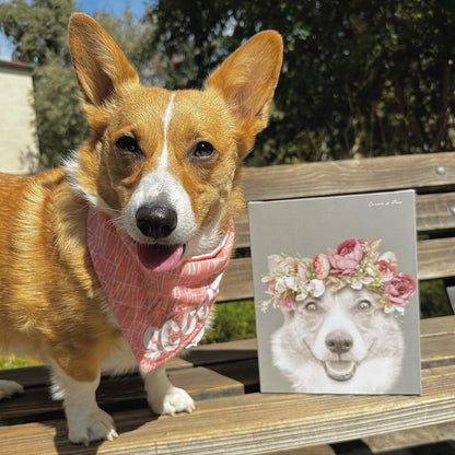 Floral Crown Pet Portrait