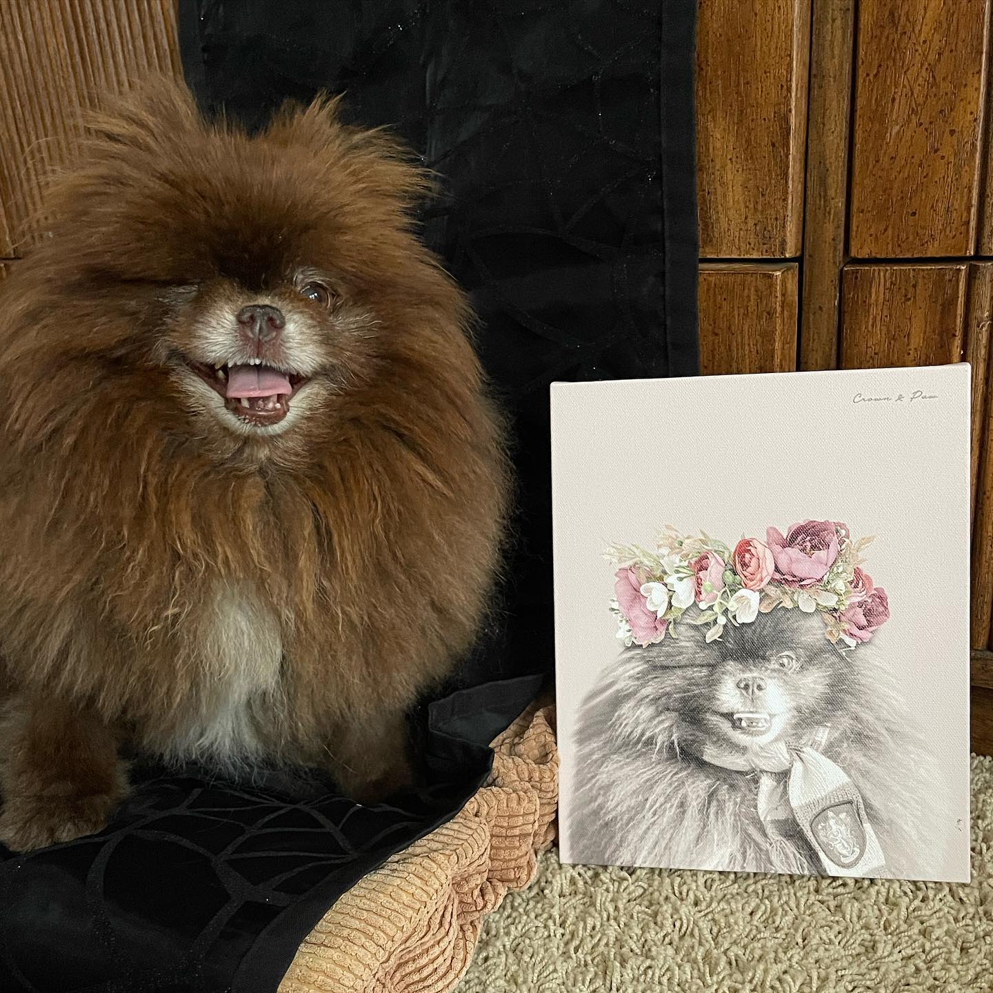 Floral Crown Pet Portrait