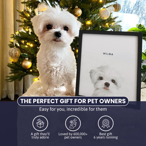 Custom Pet Portrait – Hand-Drawn Memorial & Gift Artwork