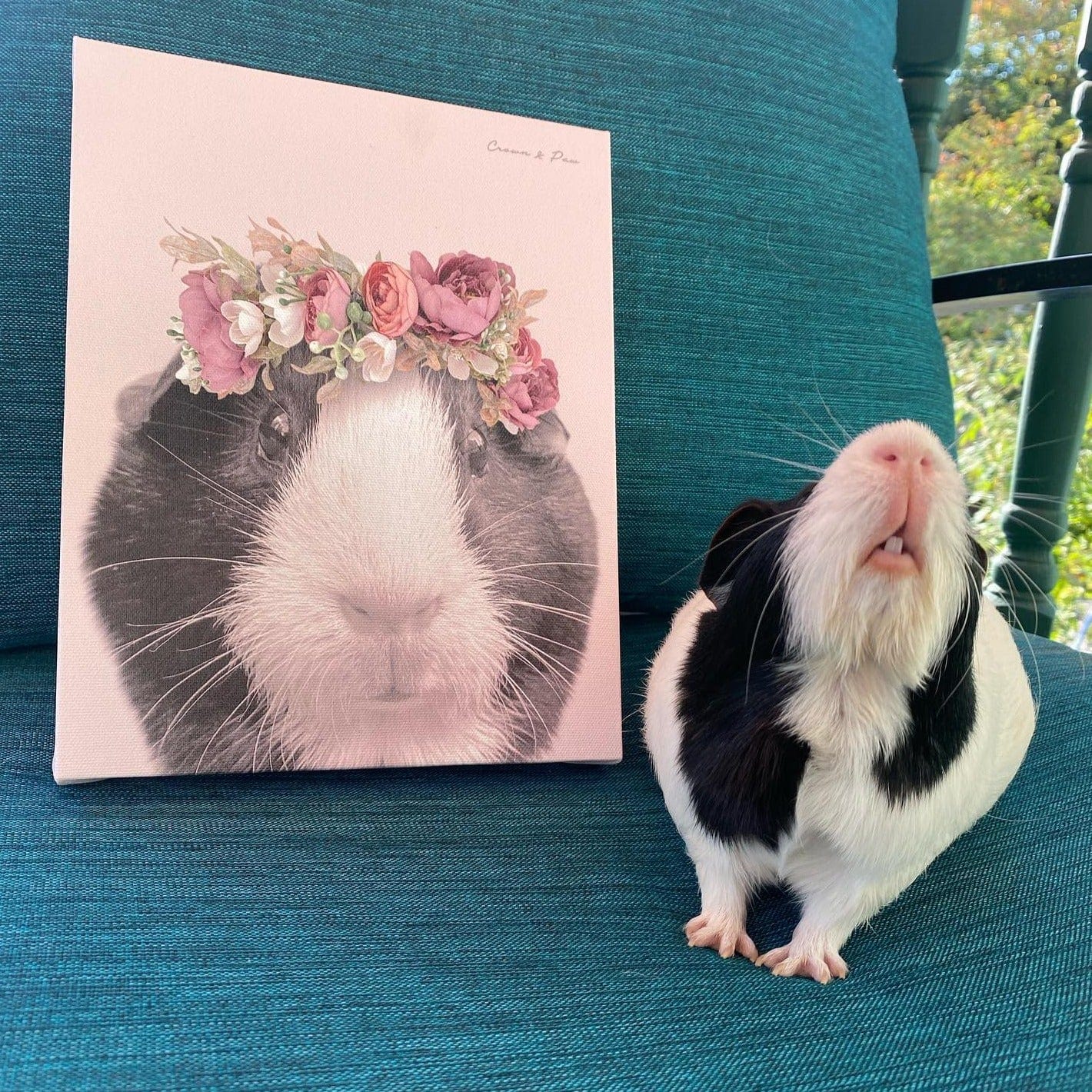 Floral Crown Pet Portrait