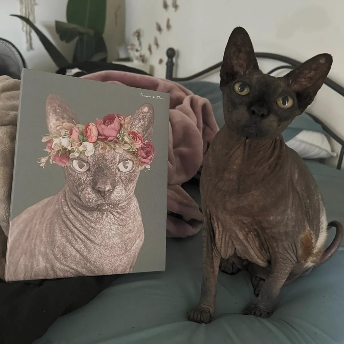 Floral Crown Pet Portrait