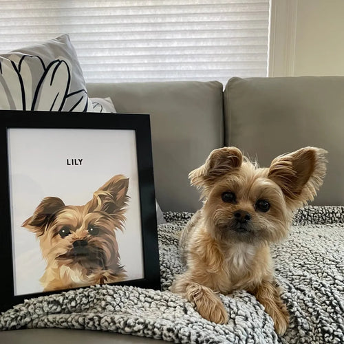 Custom Pet Portrait – Hand-Drawn Memorial & Gift Artwork