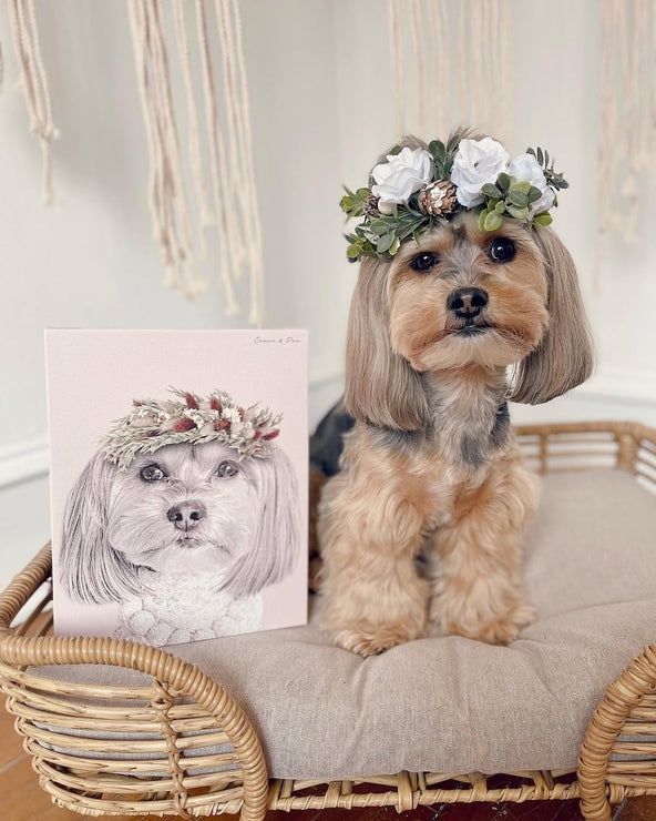 Floral Crown Pet Portrait