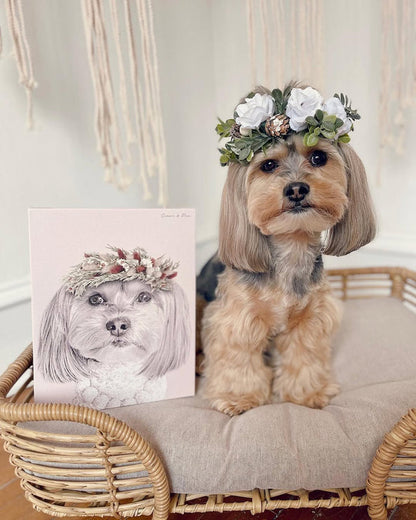 Floral Crown Pet Portrait