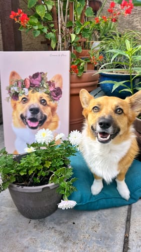 Floral Crown Pet Portrait