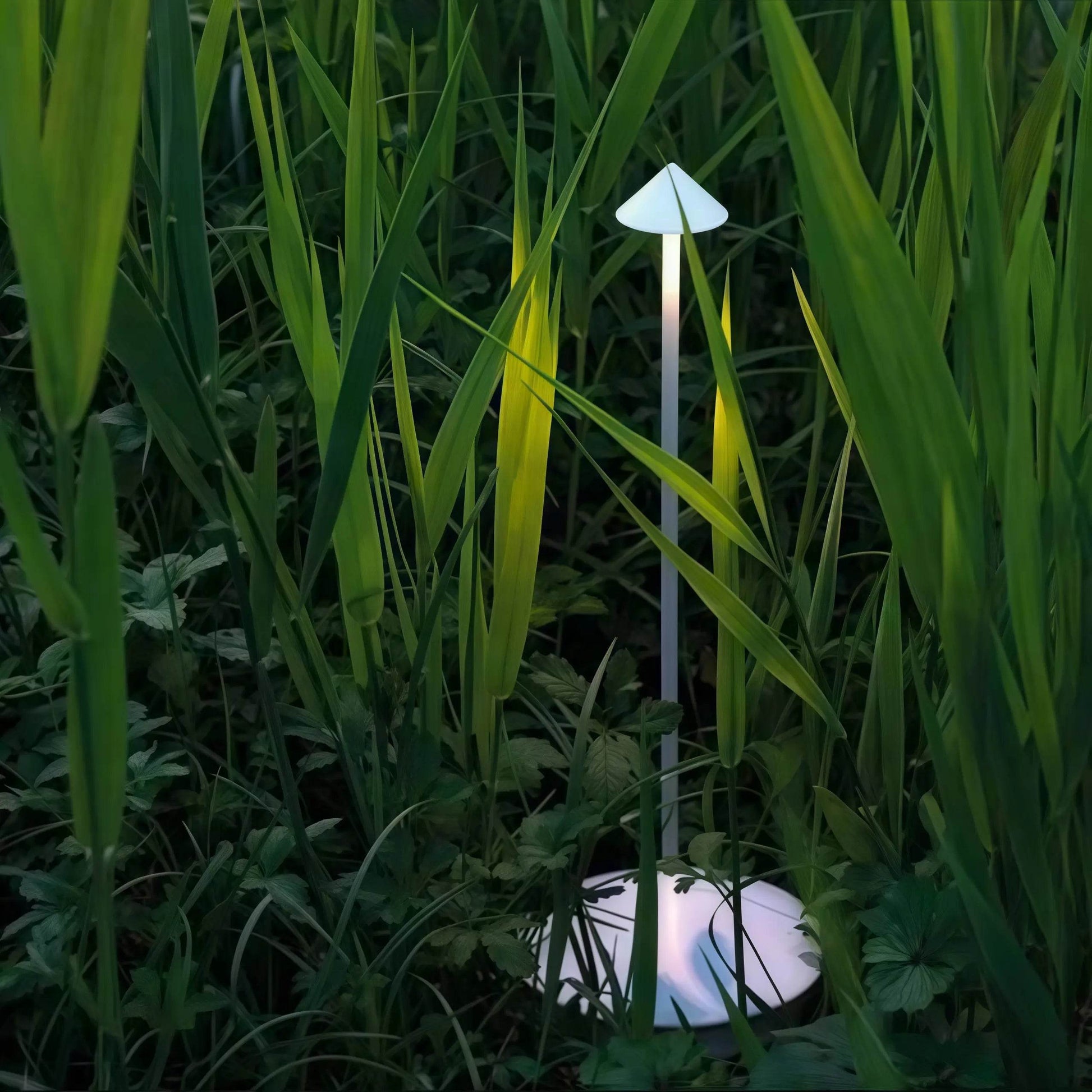 Naawe Minimalist LED Lamp for Café/Bar | 12K+ Orders Fulfilled - Naawe