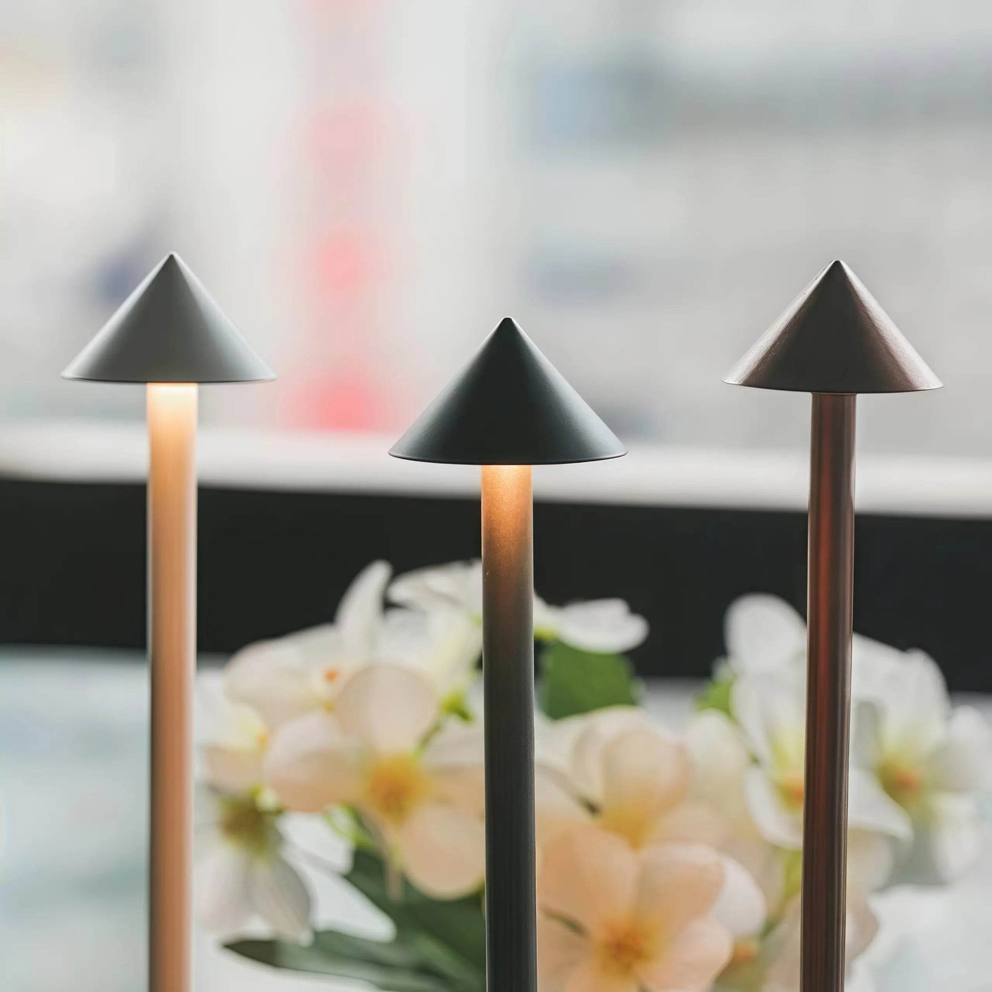 Naawe Minimalist LED Lamp for Café/Bar | 12K+ Orders Fulfilled - Naawe