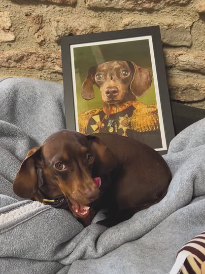 Custom Pet Portrait – Hand-Drawn Memorial & Gift Artwork